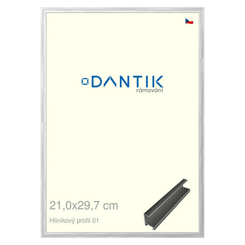 DANTIK rámeček 21x29,7 | ALU profil 7001 Stříbrná lesklá (Sklo Čiré)