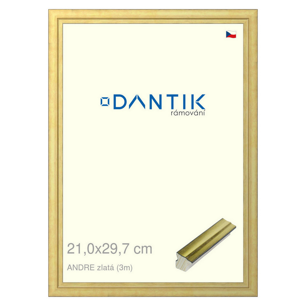 DANTIK rámeček 21x29,7 | ANDRE zlatá (Sklo Čiré)