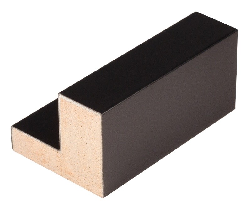 Rámová lišta DANTIK - 2968 | L černé tlusté