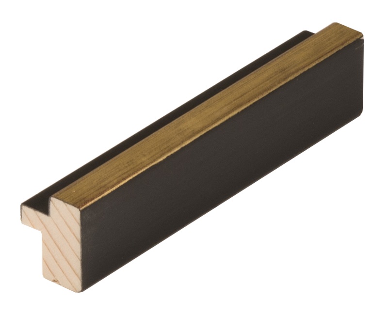 Rámová lišta DANTIK - 3110 | NINA černá AU linka