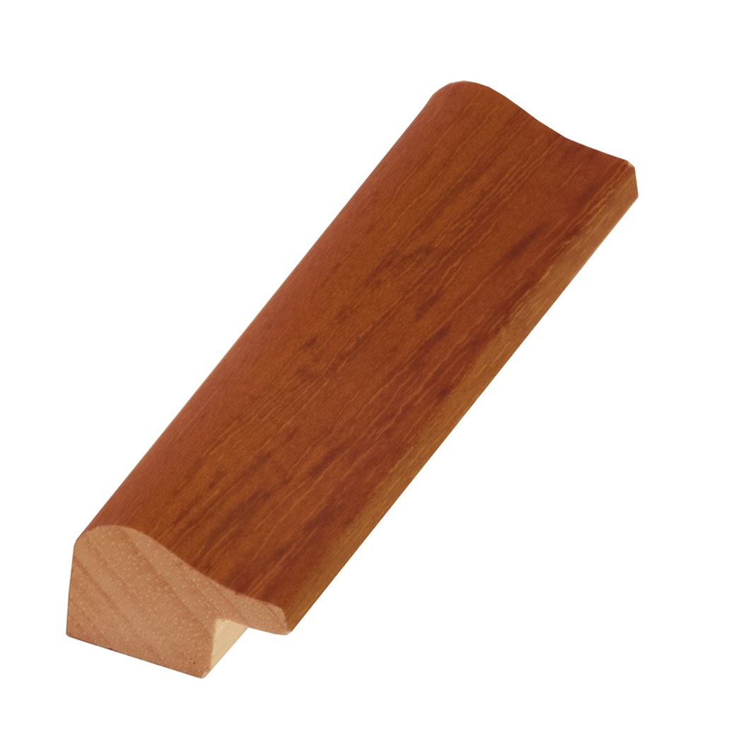 Npino 2869