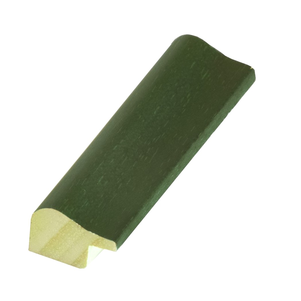 Npino 2870