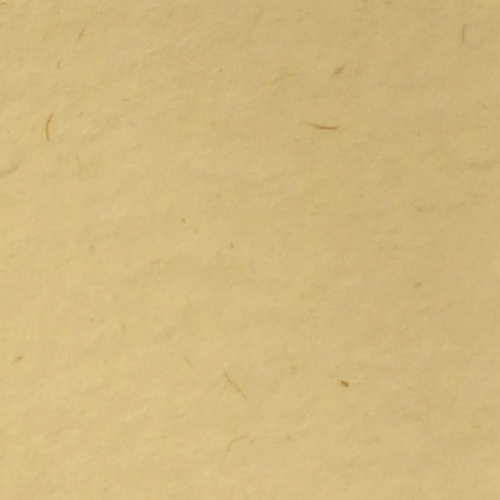 Paspartovací kartón DANTIK - PA145 (Vyřazeno | světlý korek)