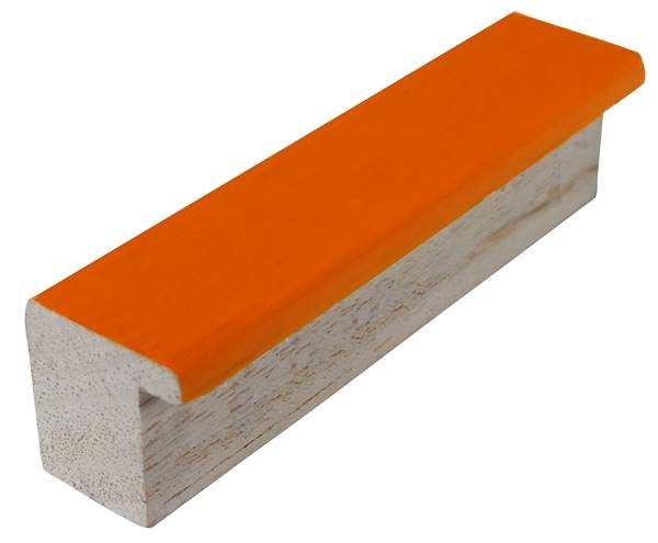 Pastelka 2563