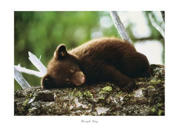 70x50 | Rough Day ( Cioli )