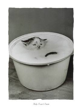 30x40 | Help I can't swim ( Creative B. )