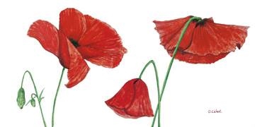 100x50 | Summertime ( Célest Olivia )