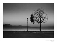 80x60 | Lutry, Lac Lemon ( Coigny Christian )