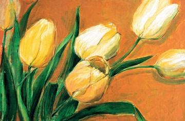 135x90 | Tulipa Nova ( Krobs Elisabeth )