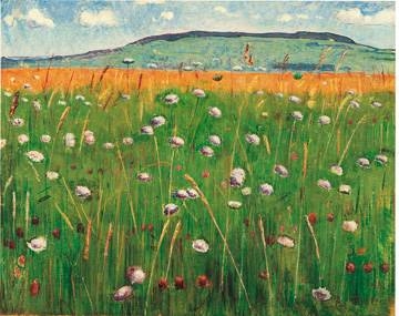 71x56 | Wiesenstück, 1900|1902 ( Hodler Ferdinand )