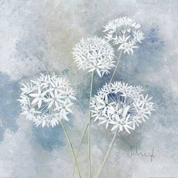 60x60 | Enchanted II ( Heigl Franz )