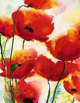 70x90 | Roter Mohn ( Reil Heidi )