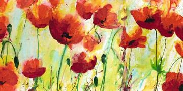 100x50 | Mohnfeld ( Reil Heidi )