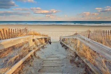 91x61 | Waiting for Summer ( Gendreau Katherine )