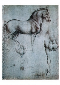35x50 | Studio di cavalli ( Da Vinci Leonardo )