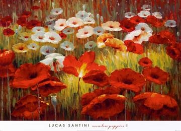 91x66 | Meadow Poppies II ( Santini Lucas )
