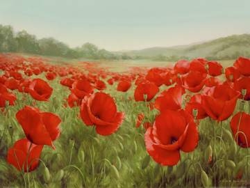 80x60 | Field of Poppies ( Levashov Igor )