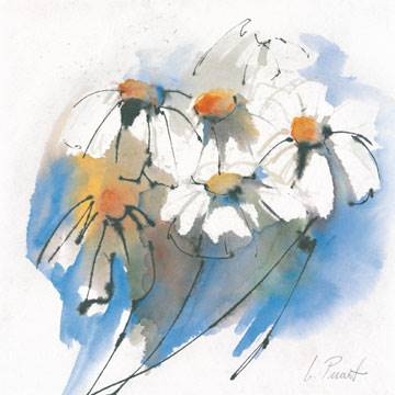 21x21 | Margeriten ( Peuckert Marta )