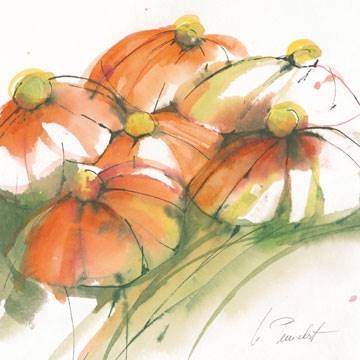 21x21 | Kamille ( Peuckert Marta )