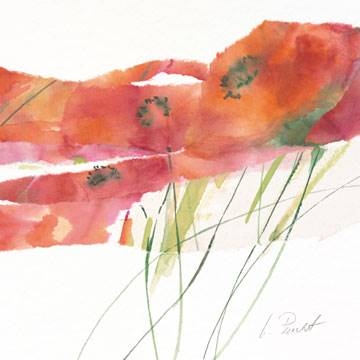 21x21 | Modern Poppy V ( Peuckert Marta )