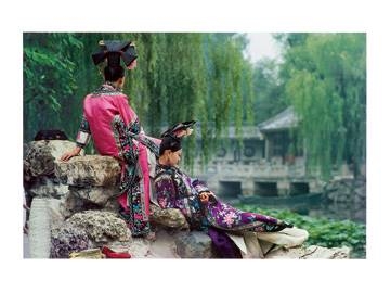 80x60 | Garden of Fragrant Light ( Pao Basil )