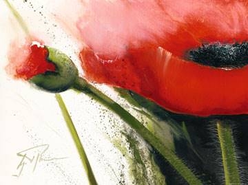 80x60 | Faszination Mohn I ( Pflumm Gerd )