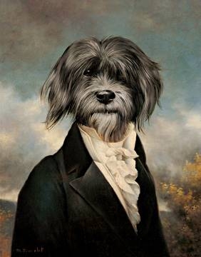 28x35 | Gavroche ( Poncelet Thierry )