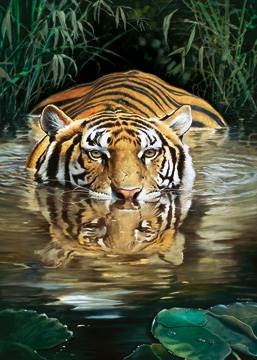 50x70 | Bamboo ( Casaro Renato )