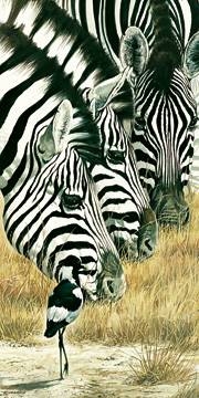 50x100 | Black and White ( Casaro Renato )