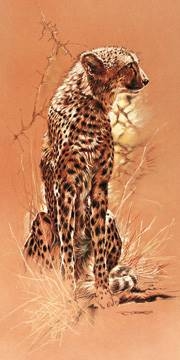 50x100 | Cheetah ( Casaro Renato )