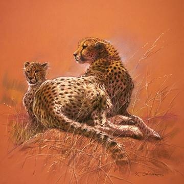 50x50 | Cheetah Mother ( Casaro Renato )