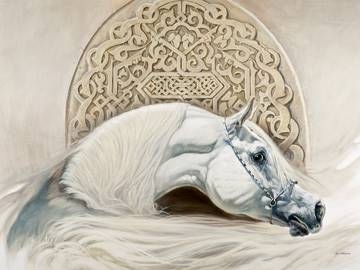 80x60 | Arabian Pride ( Casaro Renato )