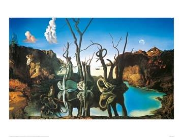 80x60 | Reflections of Elephants ( Dali Salvador )