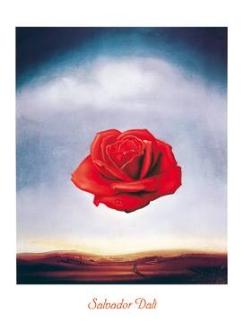 60x80 | Rose meditative ( Dali Salvador )