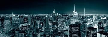 95x33 | Manhatten Skyline at Night ( Shutterstock )
