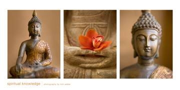 100x50 | Spiritual Knowledge ( Weber Tom )