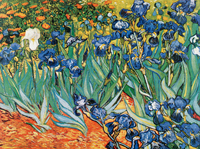 Iris, VV-117