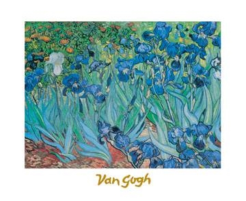 30x24 | Iris ( Van Gogh Vincent )