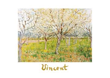 70x50 | The Orchard ( Van Gogh Vincent )