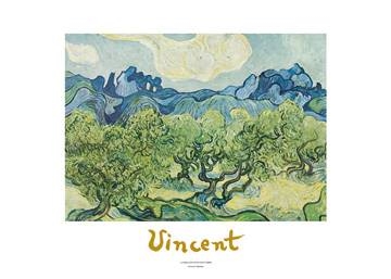 70x50 | Landscapes with olive trees ( Van Gogh Vincent )
