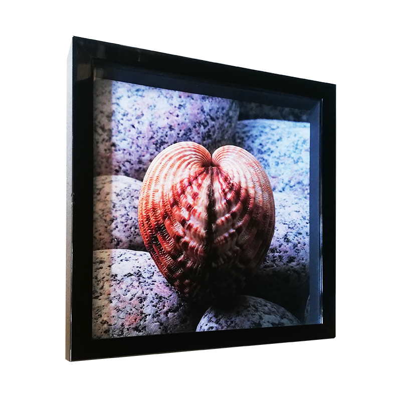 Fotografie - Mušle | 32x32 cm (Zarámovaná reprodukce)