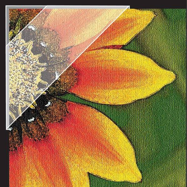 Lineco Muzeální - samolepící fotorůžky 13mm archivální kvalita, 240 ks