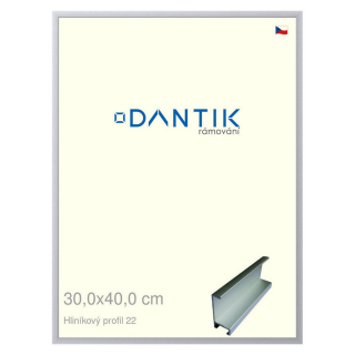 DANTIK rámeček 30x40 | ALU profil 7022 Stříbrná matná (Plexi Čiré)