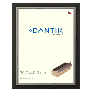 DANTIK rámeček 30x40 | TAIGA černá (Plexi Čiré)