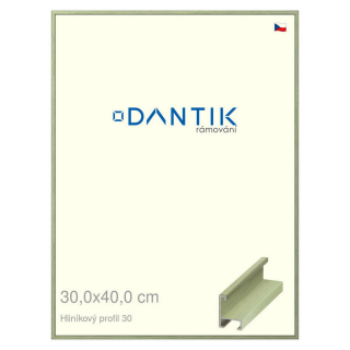 DANTIK rámeček 30x40 | ALU profil 6030 Dýha barevná zelená pastel (Plexi Čiré)