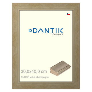 DANTIK rámeček 30x40 | ANDRÉ velká champagne (Plexi Čiré)