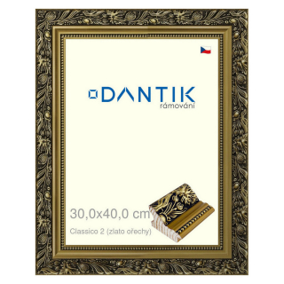 DANTIK rámeček 30x40 | Claico 2 (zlato ořechy) (Plexi Čiré)