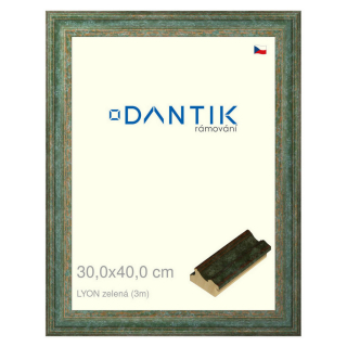 DANTIK rámeček 30x40 | LYON zelená (Plexi Čiré)