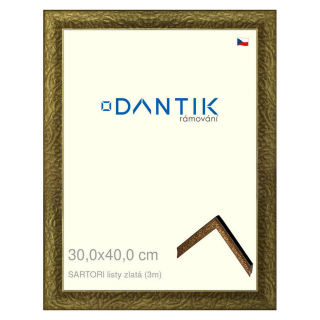 DANTIK rámeček 30x40 | SARTORI listy zlatá (Plexi Čiré)