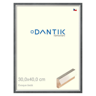 DANTIK rámeček 30x40 | EVOQUE šedá (Plexi Čiré)